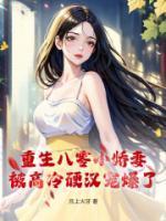重生8零娇妻甜又撩