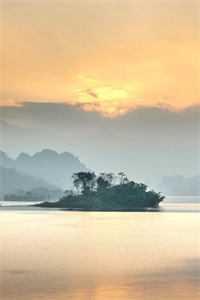 高冷总裁霸道宠免费