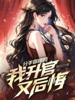 分手你提的