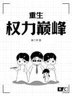 重生权力巅峰王洪涛免费阅读
