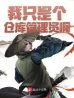 我只是个仓库管理员啊英文