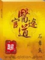 国医高手txt