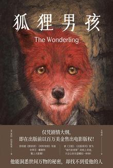 狐狸男孩动漫