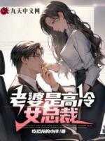 老婆是高冷女总裁全文阅读