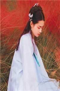仙村神农全文免费阅读