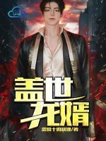 盖世龙婿完整版