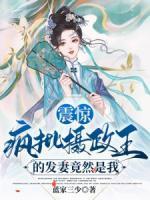 摄政王的调皮王妃