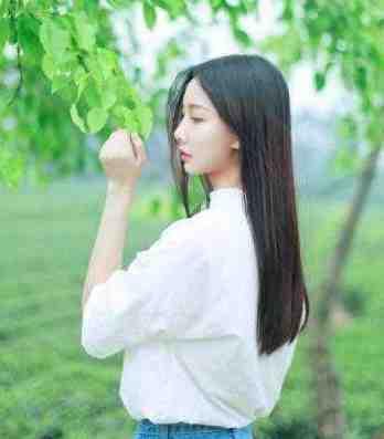 张昊是哪本里面的