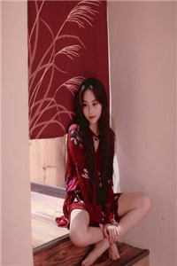 将相夫人是谁