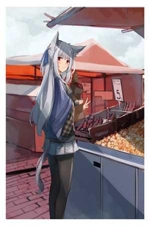 俏佳人全书