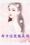 女主叫沈怀状的