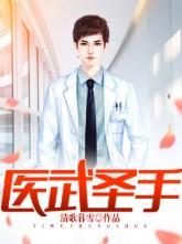 医武圣主