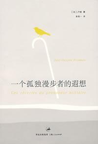 一个孤独漫步者的遐想百度