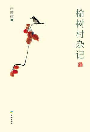 榆树村杂记正版