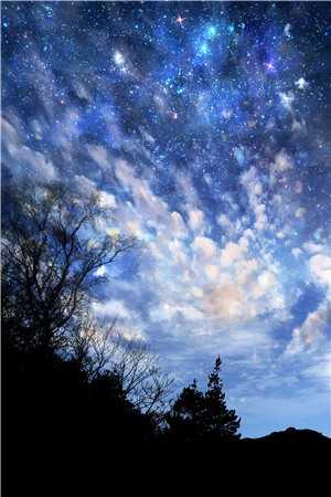 陆敬之符夕免费阅读