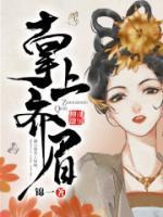 掌上齐眉作者