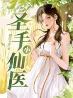 圣手小仙医TXT免费