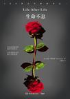 生命不息的息是什么意思