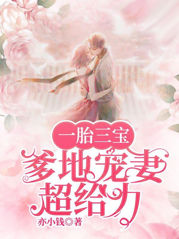一胎三宝爹地宠妻超给力向淮几岁