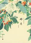 碎片清理大师免费版