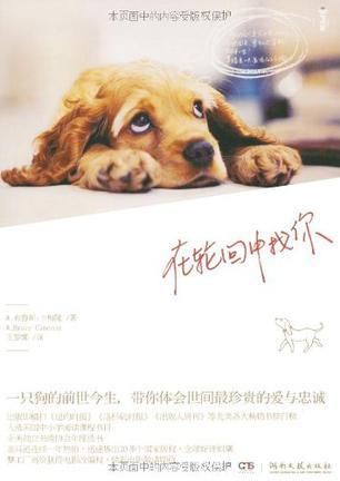 在轮回中找到你完整版广原唱