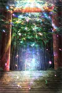 等月光全文免费阅读 等月光全文免费阅读