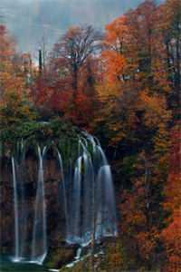 红尘多可笑 痴情最无聊 是什么歌的歌词