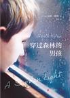 穿过森林的男孩文学作品分析