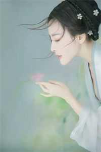 穿成精灵