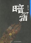 暗箱理论是什么意思