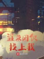 找一个盗墓