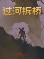 过河拆桥全文免费阅读