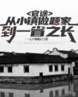 官途从小镇做题家到一省之长全集
