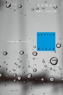 月光的合金日落