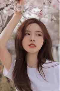 神算掌命师动漫全集