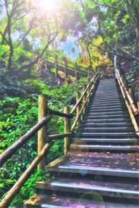 音道仙途