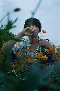 男主林帆的