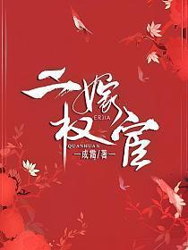 二嫁权宦好看吗