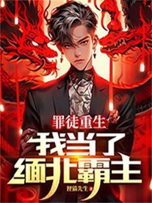 我当了缅北霸主 狸猫先生