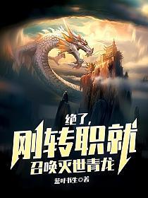 绝了刚转职就召唤灭世青龙百度百科
