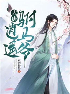 大唐逍遥驸马爷.安装入口.cc