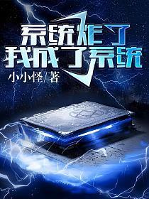 我成了系统作者小小怪