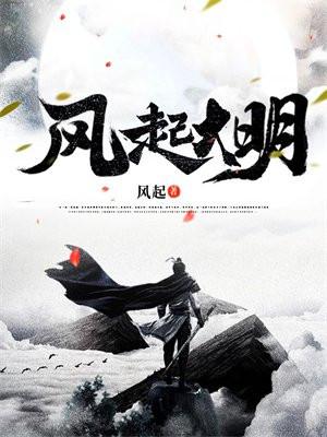 风起大明TXT全本