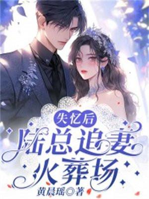 总裁失忆后