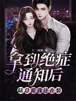 陆总说我还在装