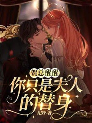 你只是夫人的替身免费