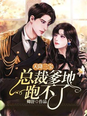 天降三宝总裁爹爹超凶猛全文免费阅读