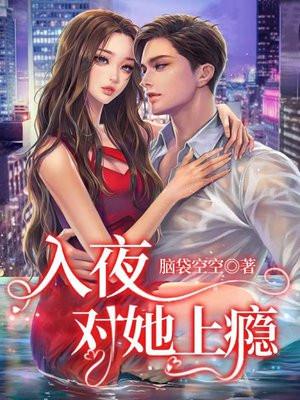 入夜是什么意思