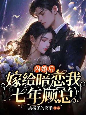 闪婚老公一抱好孕免费阅读