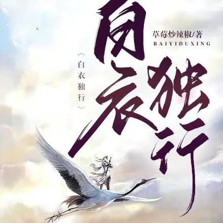 白衣mv